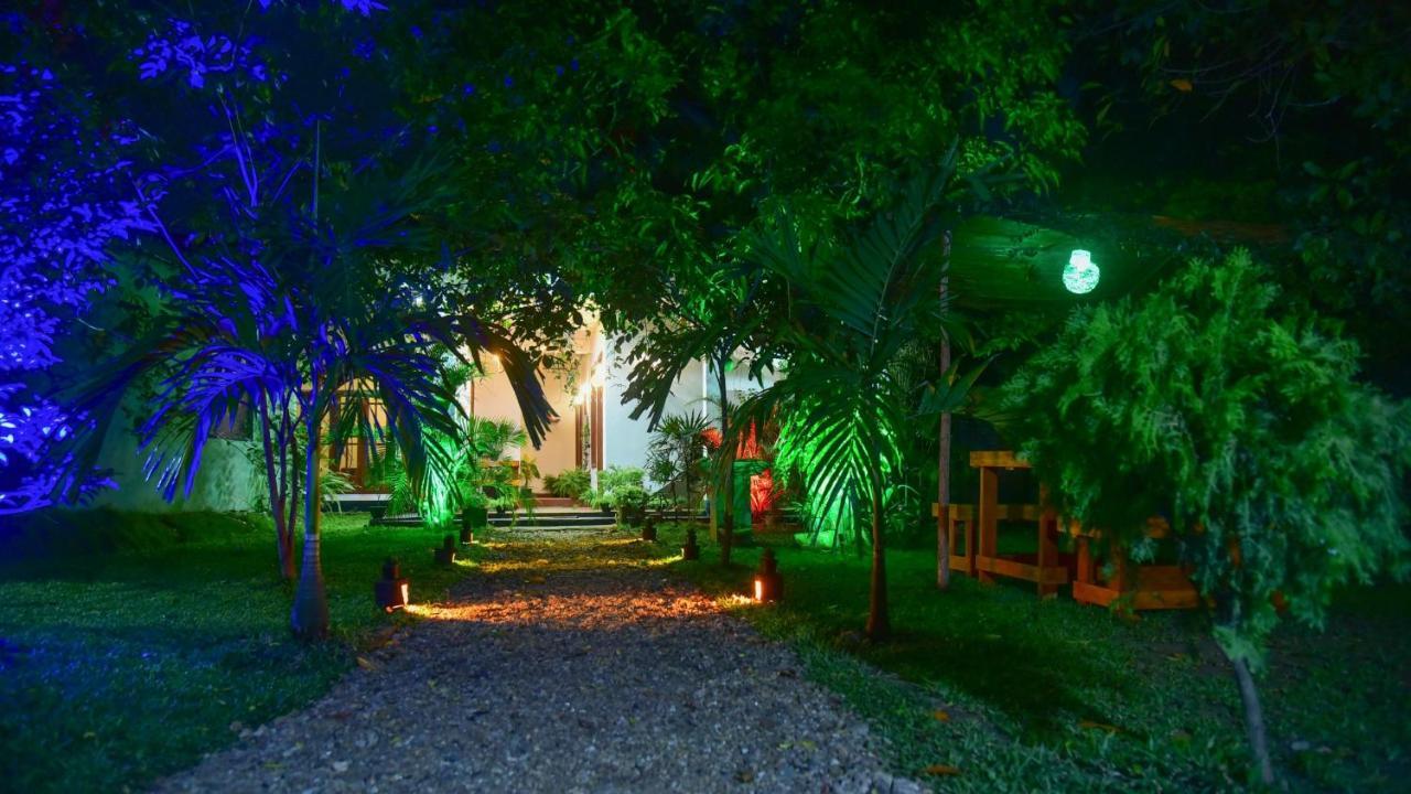 Menara Green Inn Dambulla Exterior photo